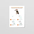 Mockup_worbook Rysuj z Pluszusiem_.4